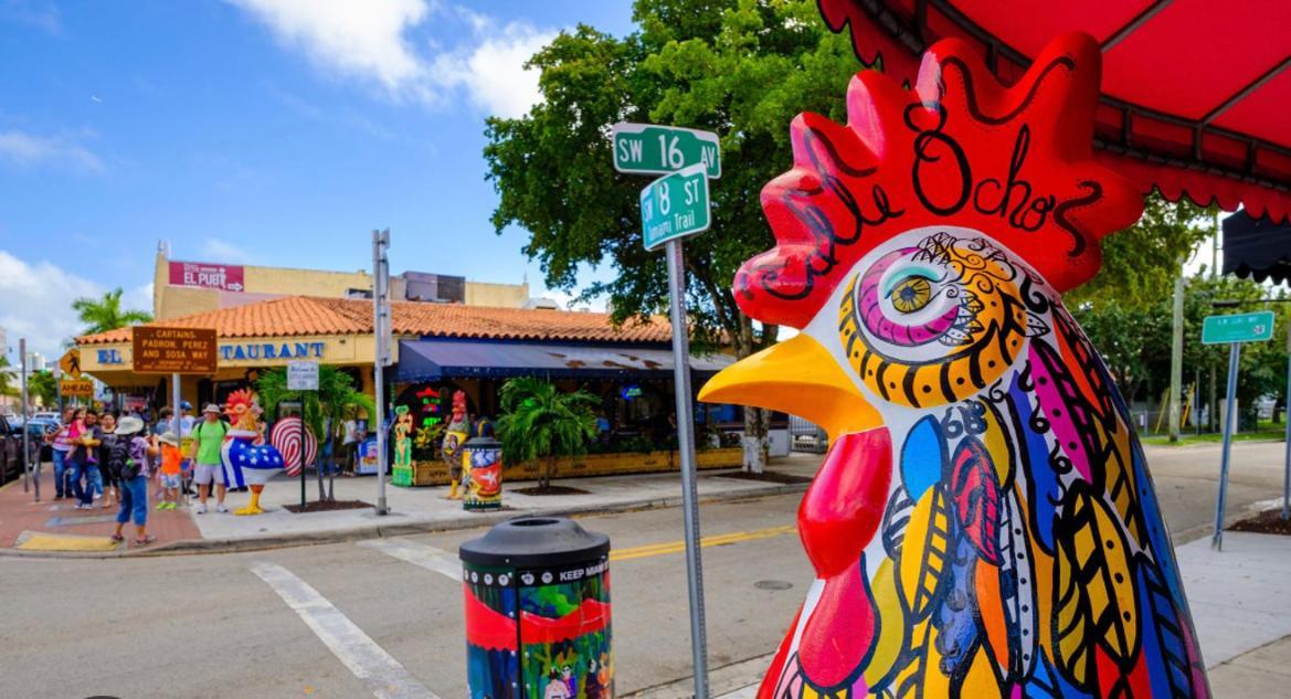 Little Havana Vandrarhem Miami Exteriör bild